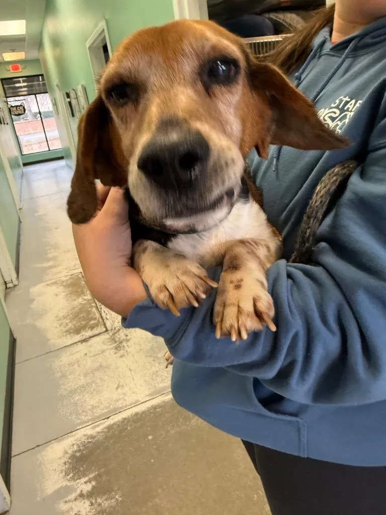 Mr. Peabody thumbnail 2