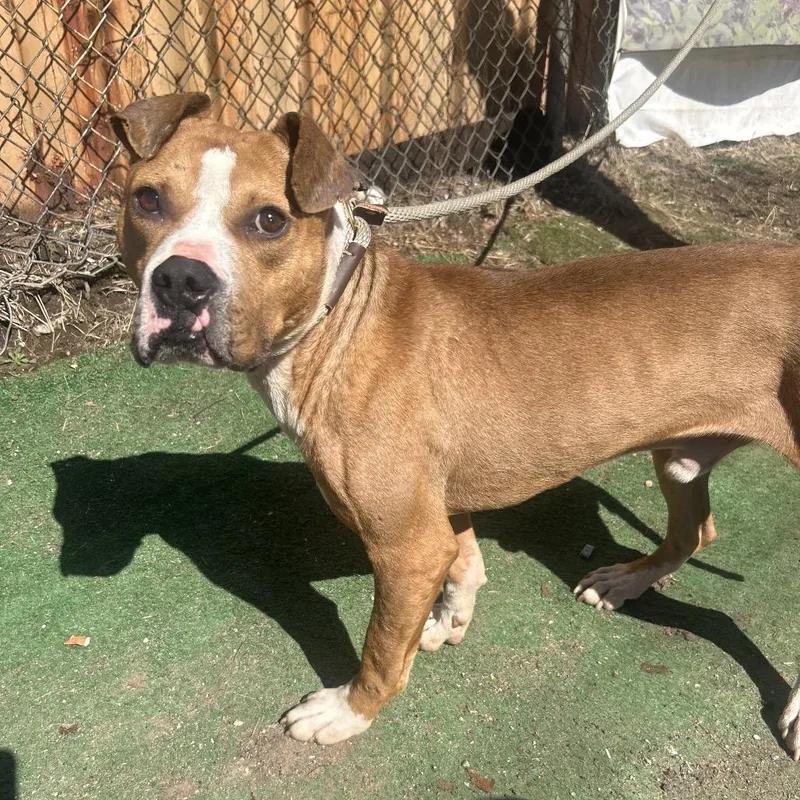 Leonardo Dicaprio thumbnail 6