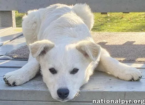 Hector In Oh  thumbnail 2