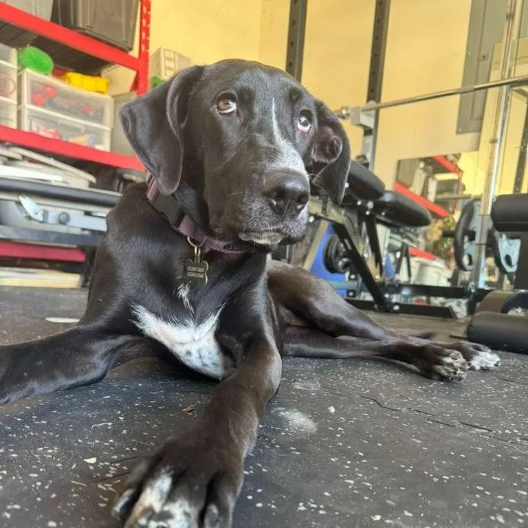 Sunshine Beautiful Baby With thumbnail 2