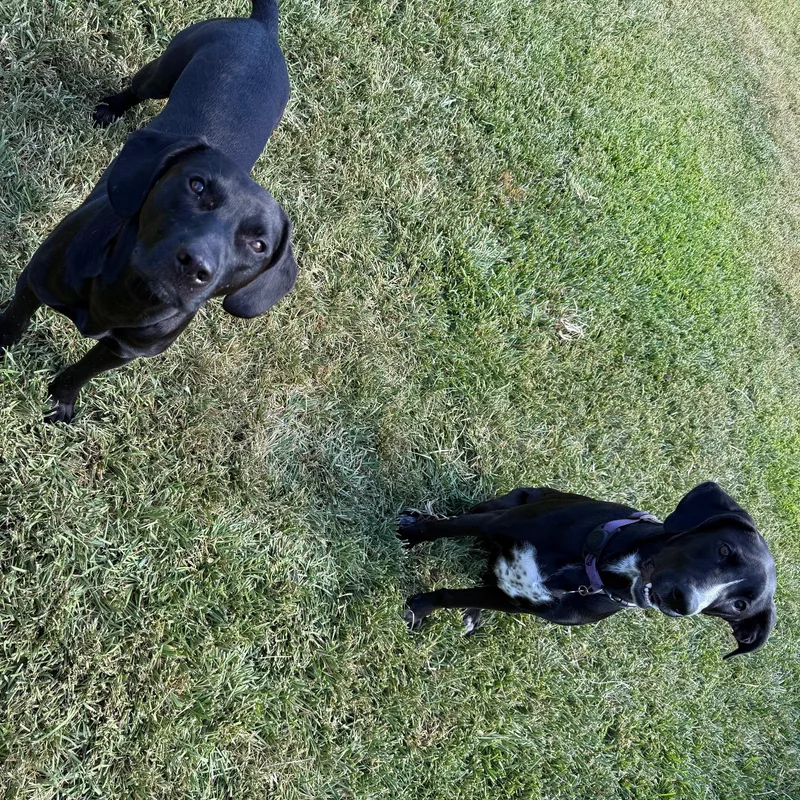 Sunshine Beautiful Baby With thumbnail 3