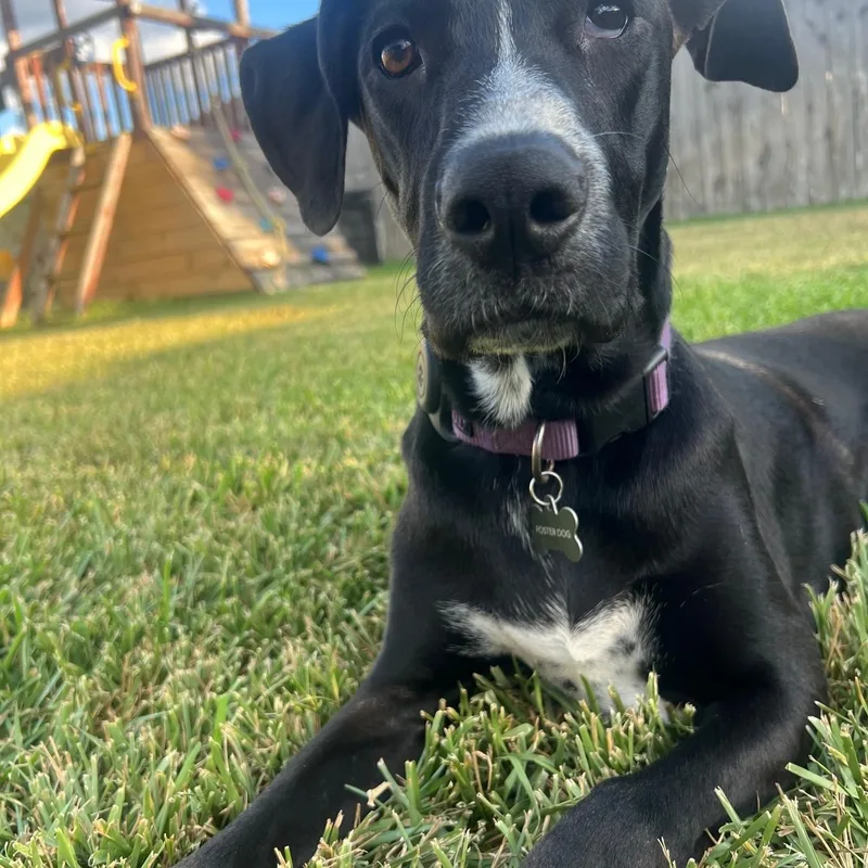 Sunshine Beautiful Baby With