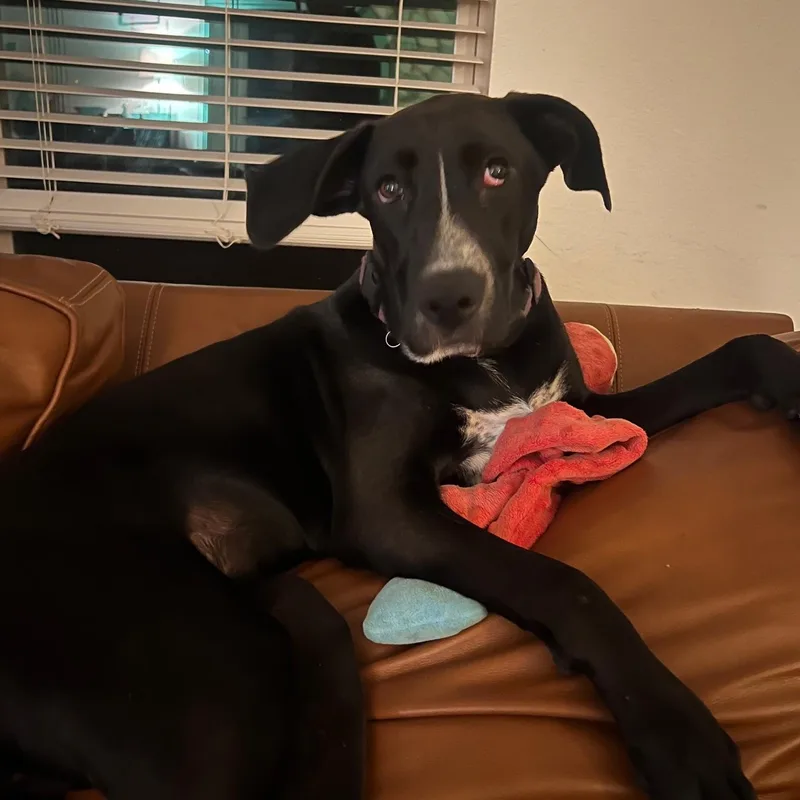 Sunshine Beautiful Baby With thumbnail 4