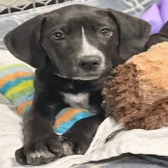 Sunshine Beautiful Baby With thumbnail 5