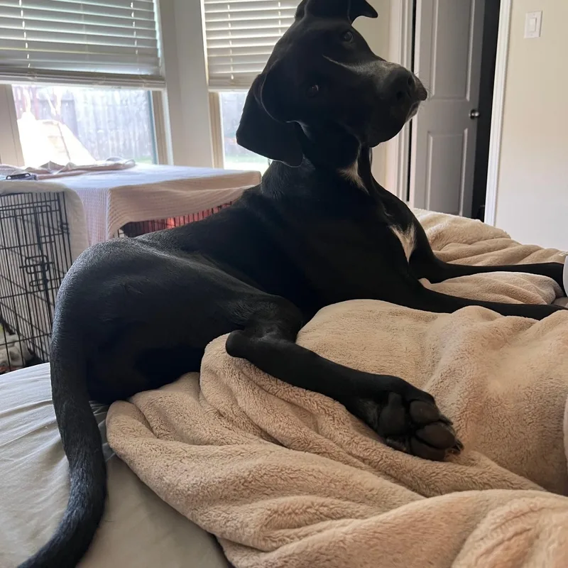 Sunshine Beautiful Baby With thumbnail 6