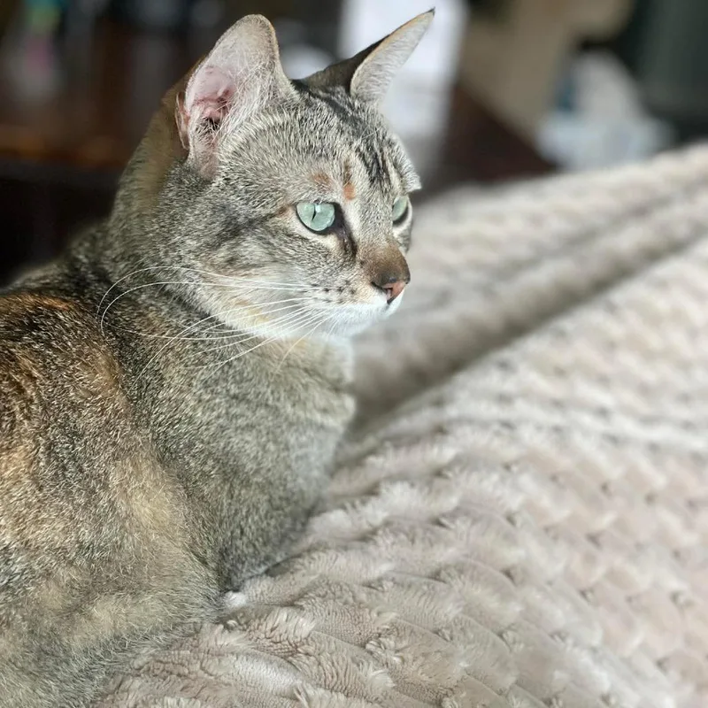 Gabby thumbnail 4