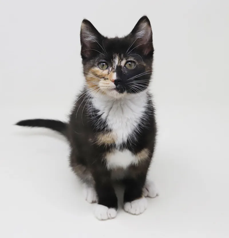 Gianna Is A Real thumbnail 2