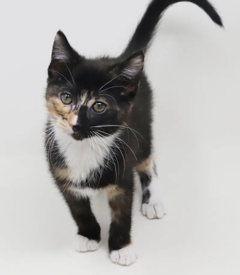 Gianna Is A Real thumbnail 3