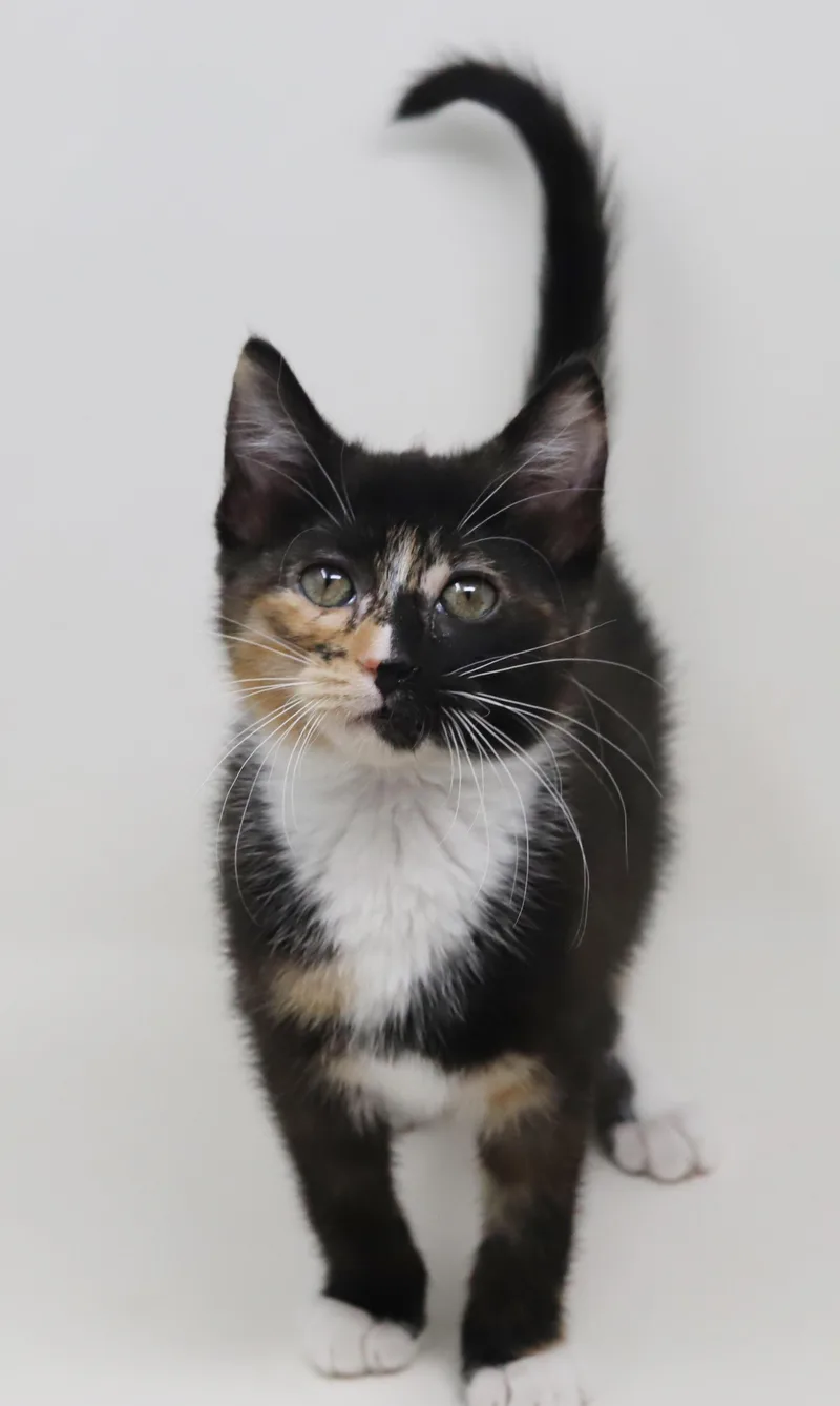 Gianna Is A Real thumbnail 4