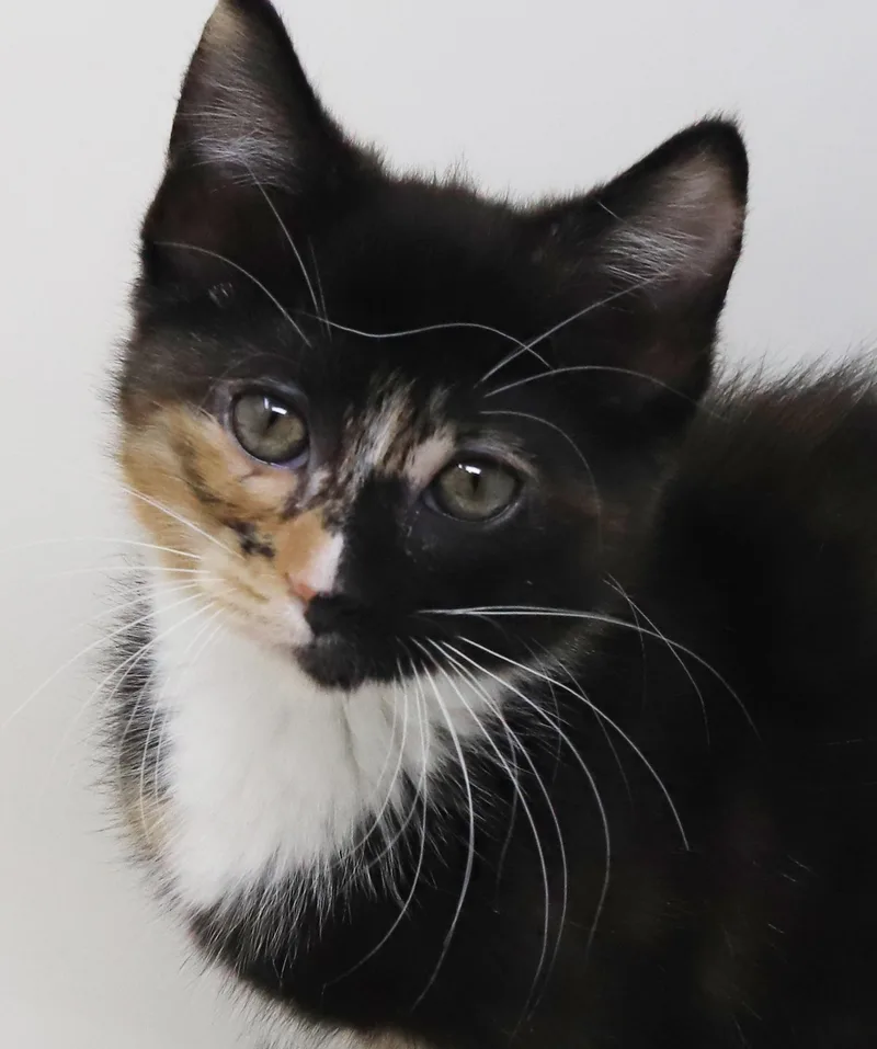 Gianna Is A Real thumbnail 5