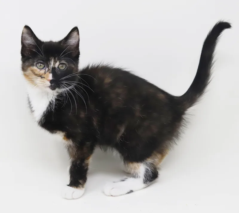 Gianna Is A Real thumbnail 6