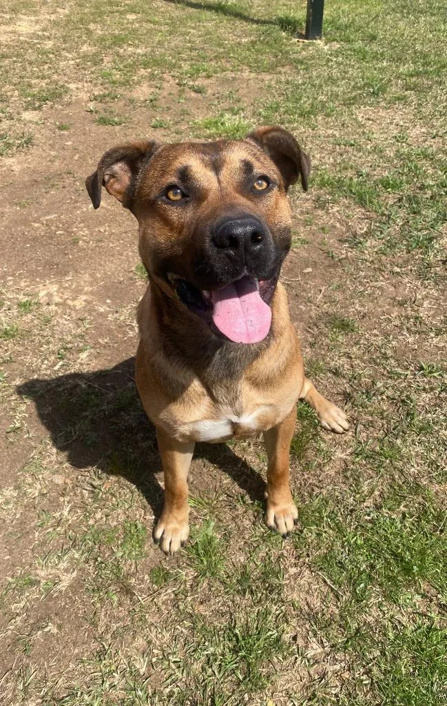 John Wayne thumbnail 2