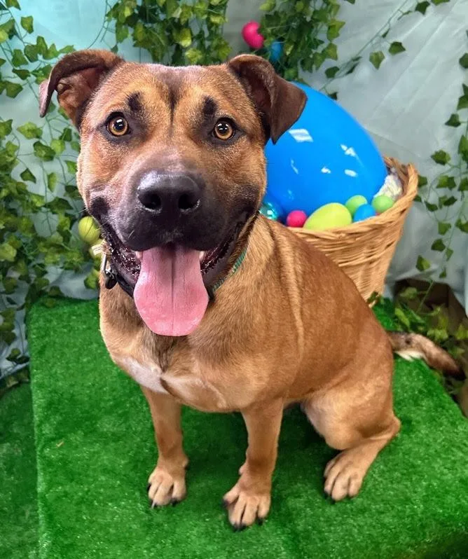 John Wayne thumbnail 3