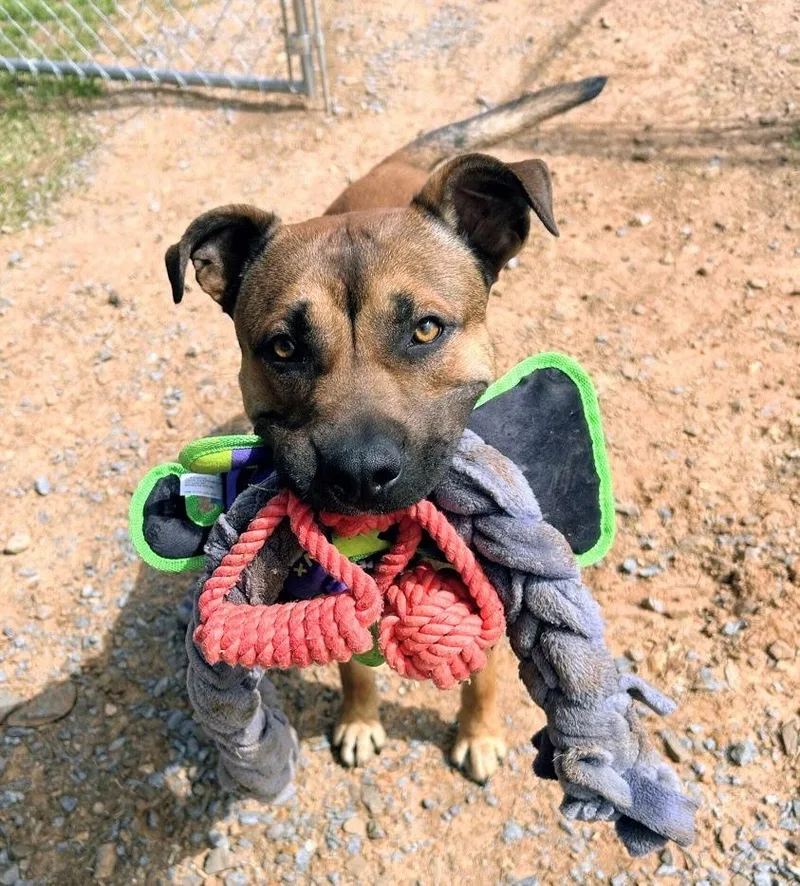 John Wayne thumbnail 4