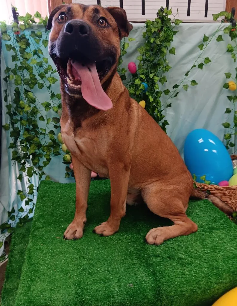 John Wayne thumbnail 5