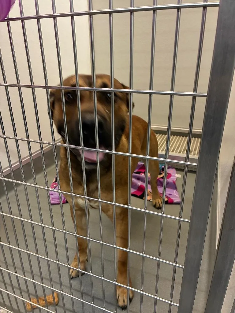 John Wayne thumbnail 6