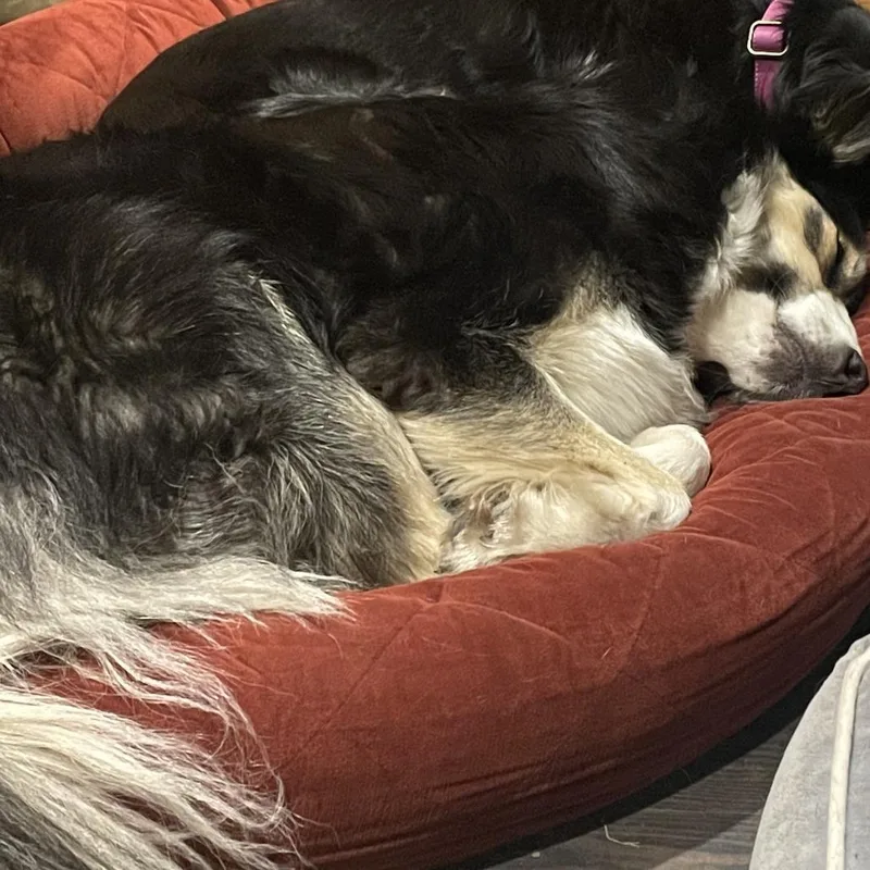 Tuffy  Home To thumbnail 2