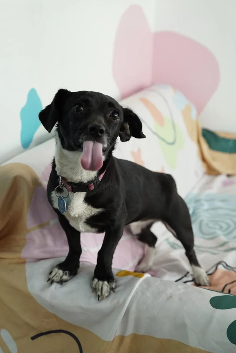 Cleo thumbnail 2