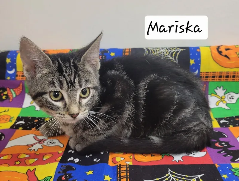 Mariska thumbnail 4