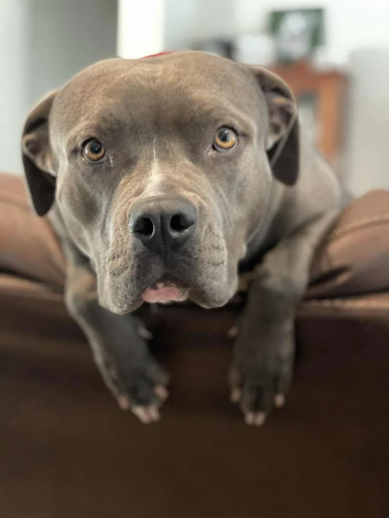 Chloe