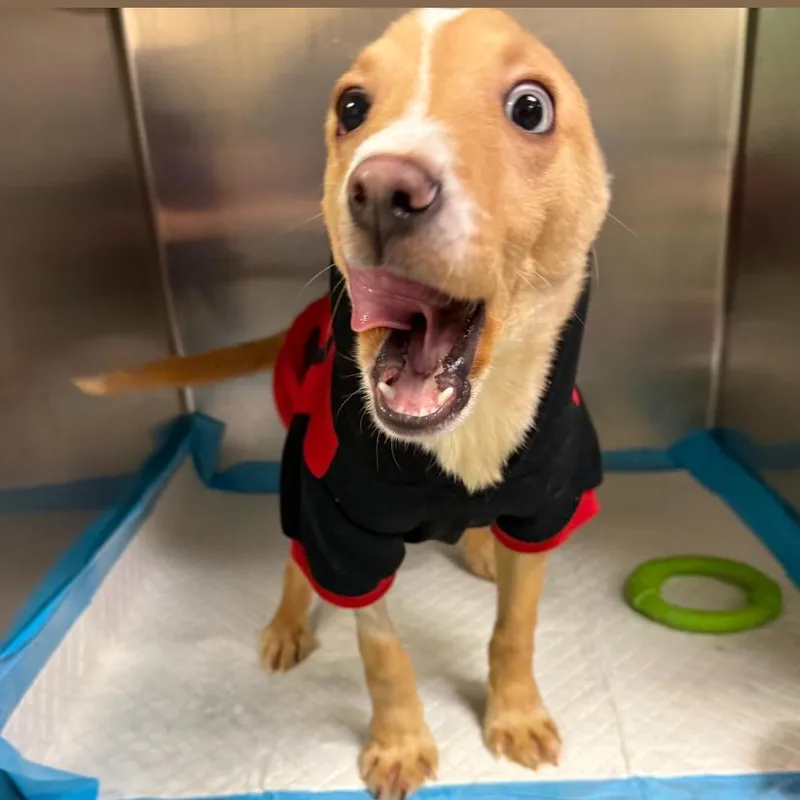 Martin The Rd thumbnail 2