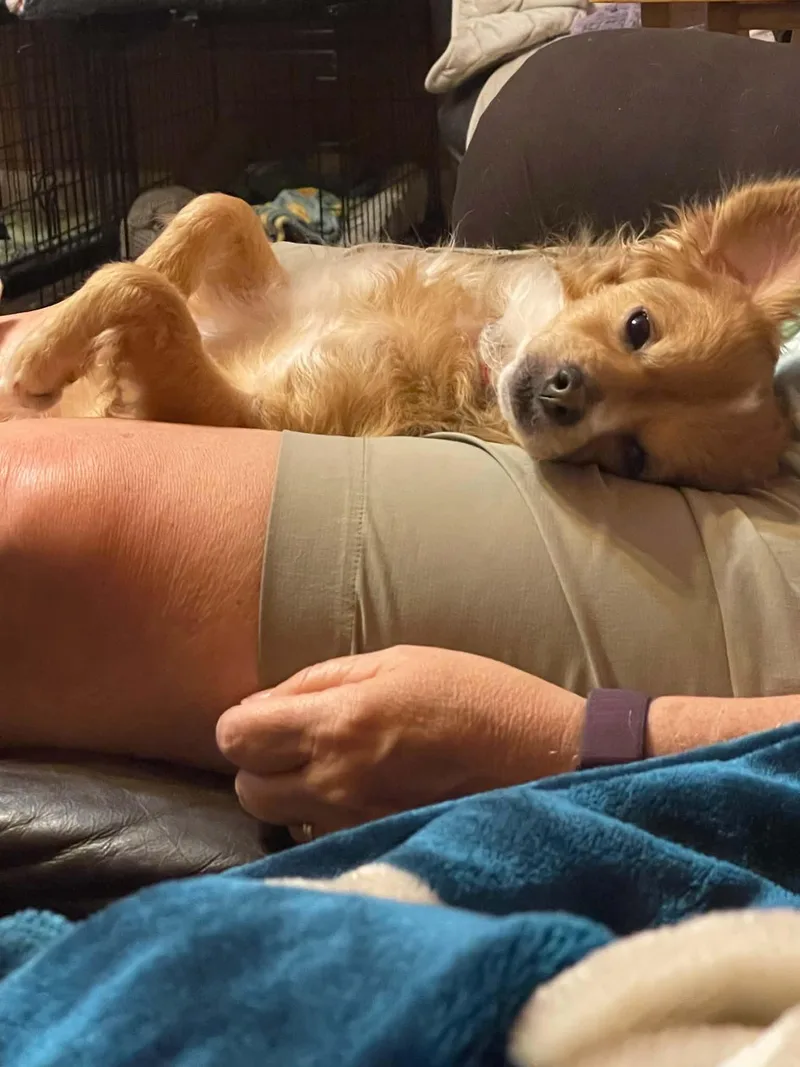 Colby thumbnail 2