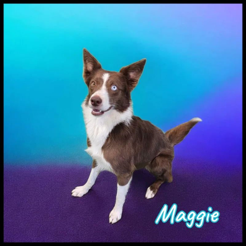 Maggie thumbnail 5