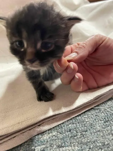 Wednesday thumbnail 3