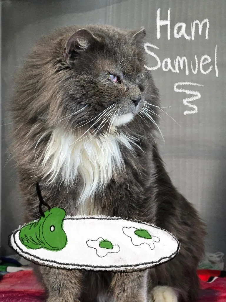 Ham Samuel thumbnail 5