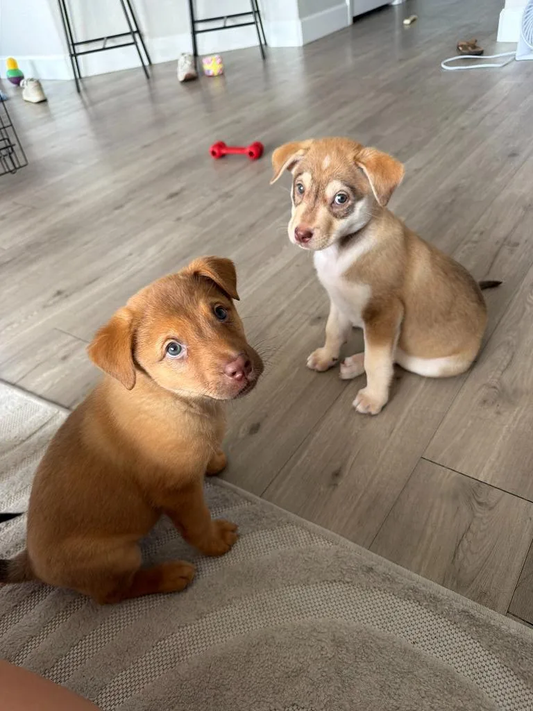 Copper