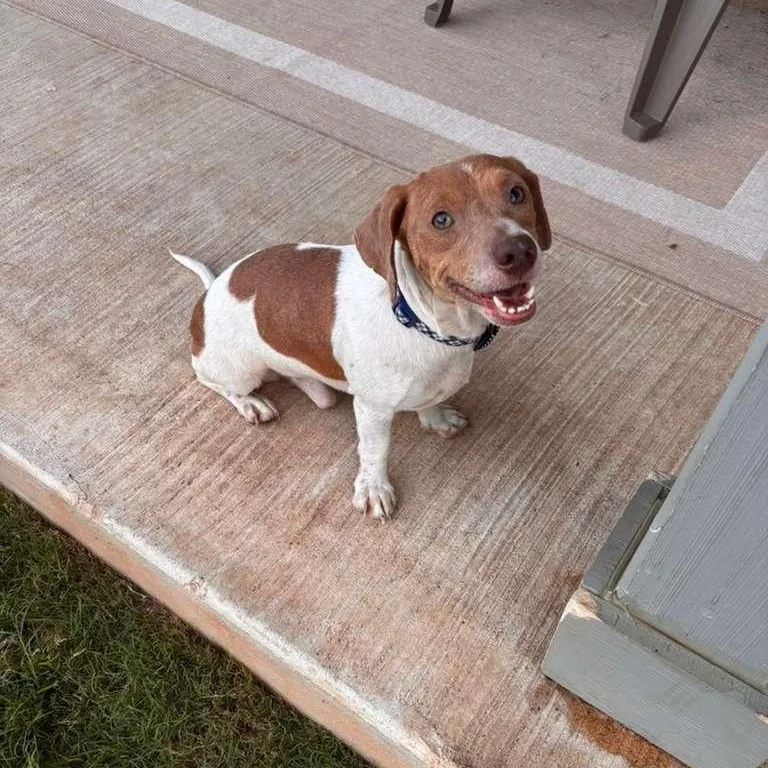 Boone