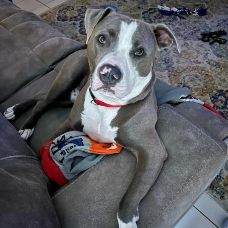 Smokie Bear thumbnail 3