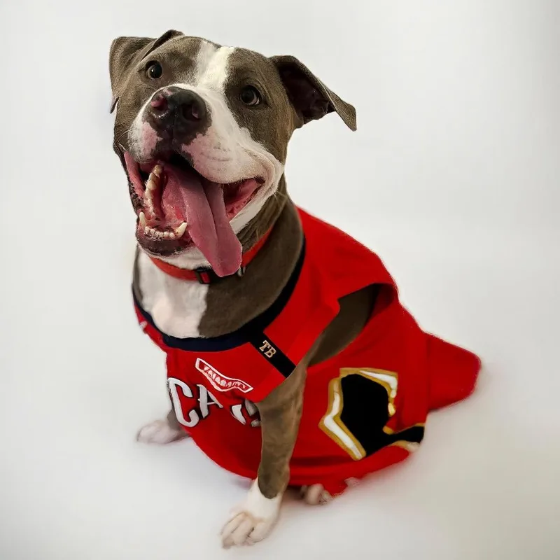 Smokie Bear thumbnail 4