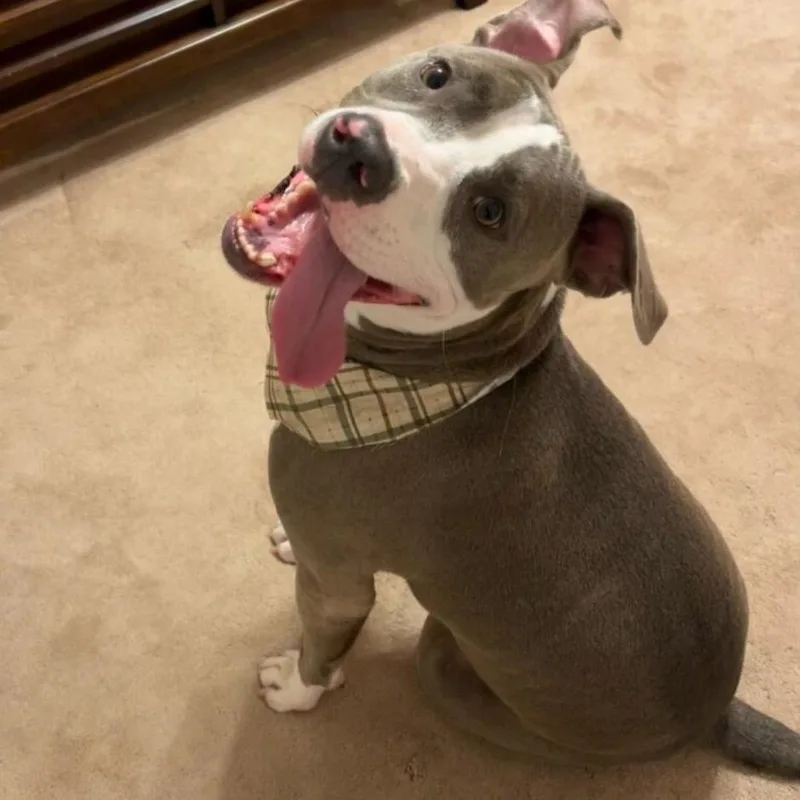 Smokie Bear thumbnail 5