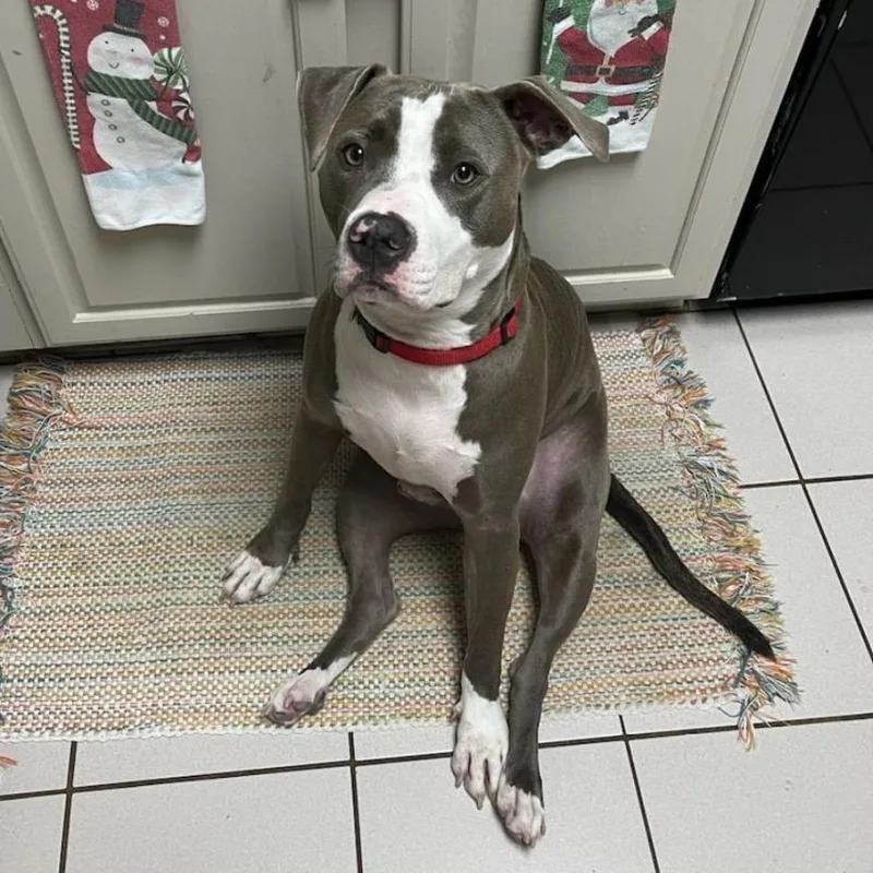 Smokie Bear thumbnail 6