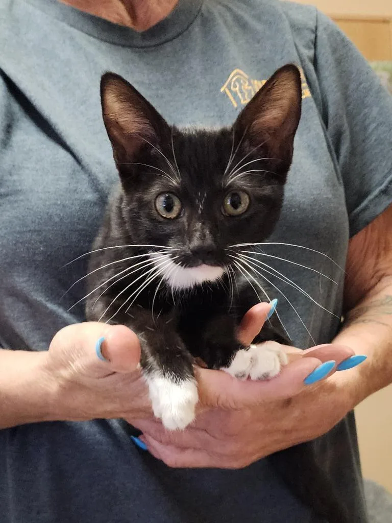 Mittens