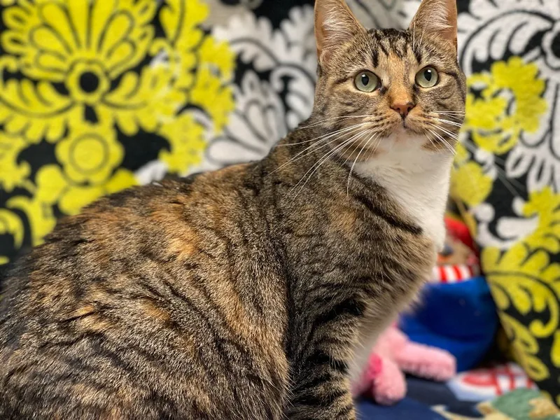 Franziska thumbnail 5