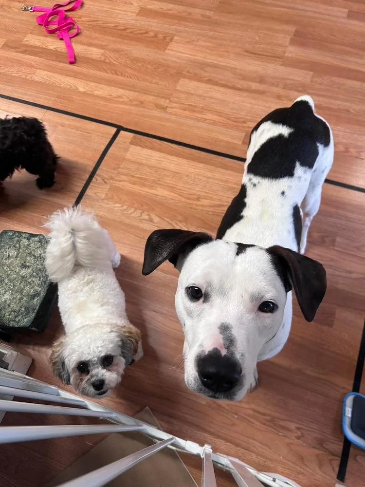 Brandon James thumbnail 3