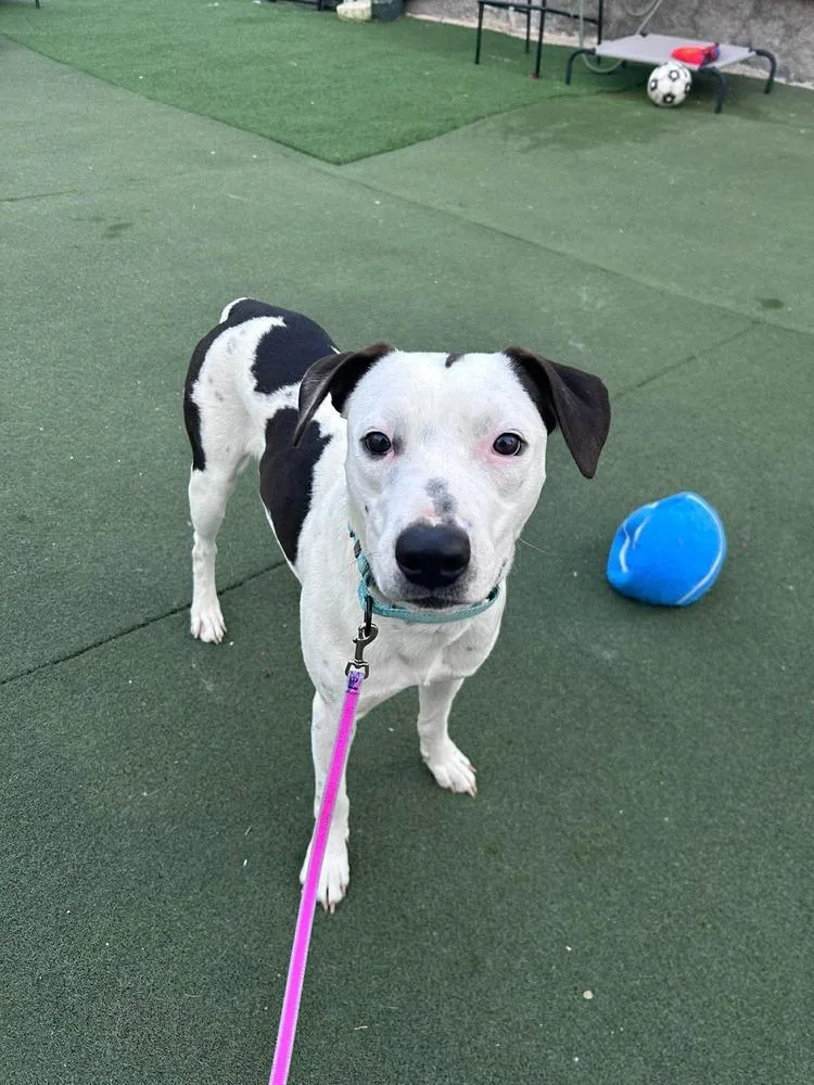 Brandon James thumbnail 4