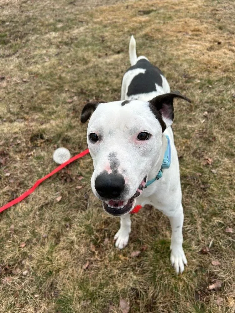 Brandon James thumbnail 5