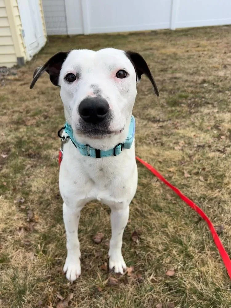 Brandon James thumbnail 6