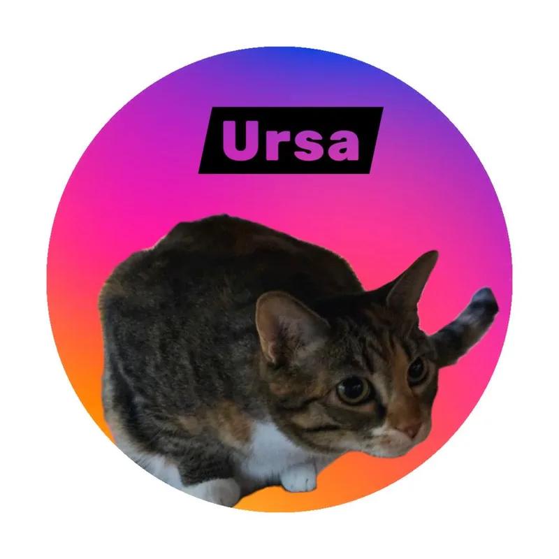 Ursa thumbnail 3
