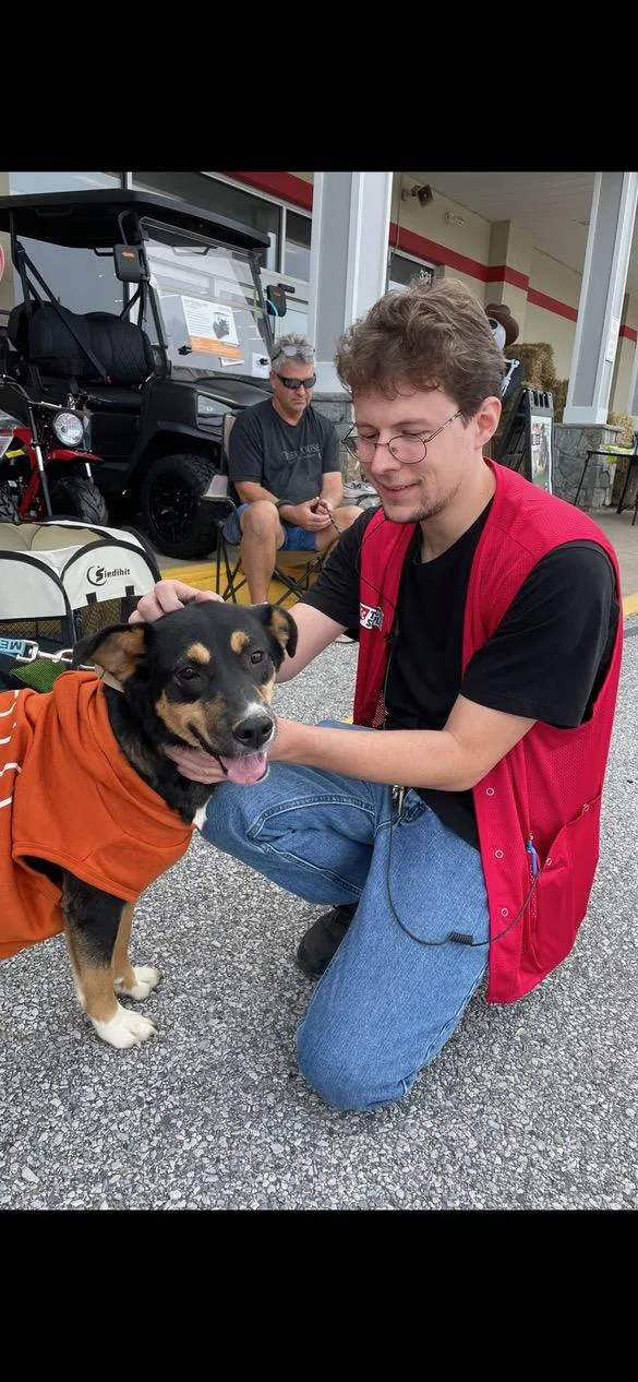 A baby medium-sized female Tricolor (Brown, Black, & White) Mixed Breed dog named Poppy for adoption in Lincoln University, PA