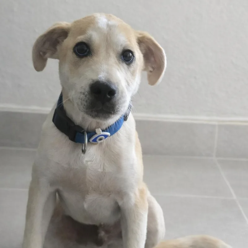 Nicholas thumbnail 2