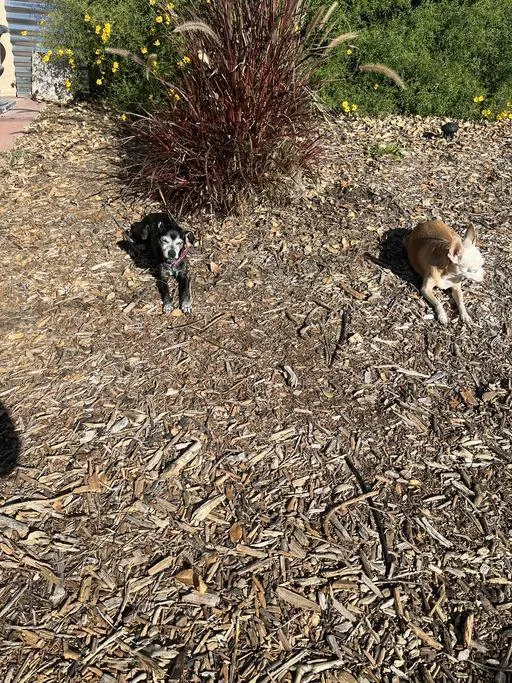 Marc Anthony thumbnail 2