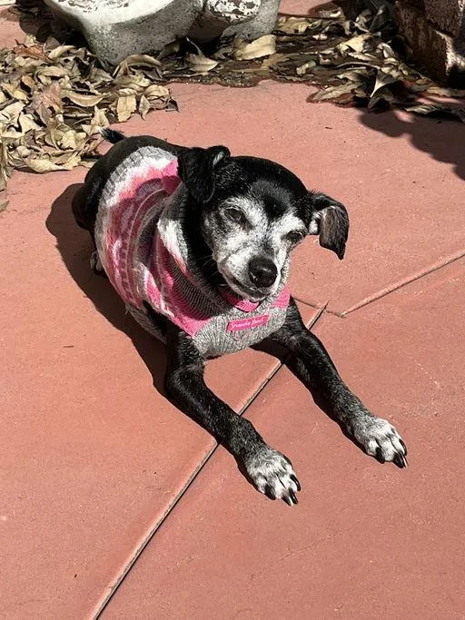 Marc Anthony thumbnail 3