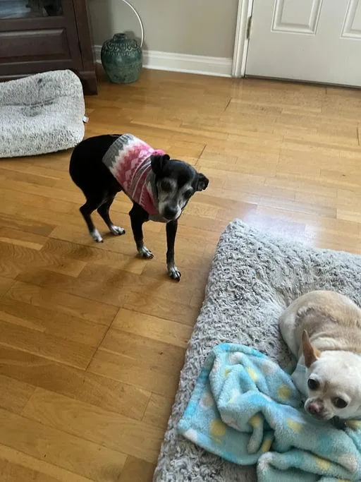 Marc Anthony thumbnail 4