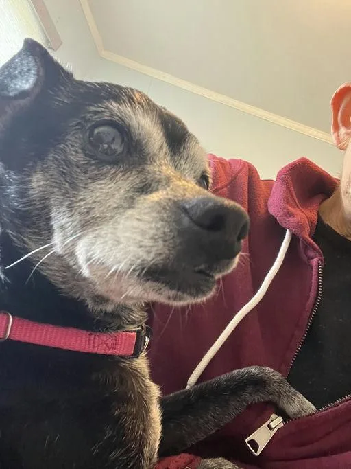 Marc Anthony thumbnail 5