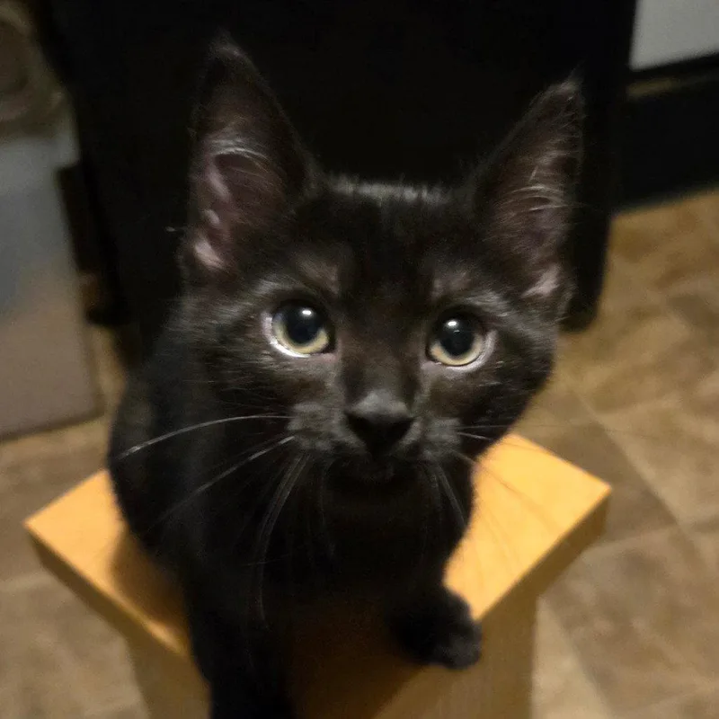 Teeny