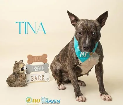 Tina